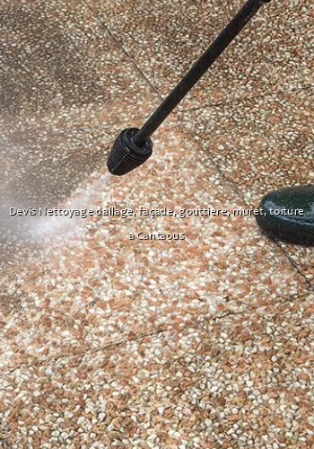 Devis Nettoyage dallage, façade, gouttiere, muret, toiture a Cantaous